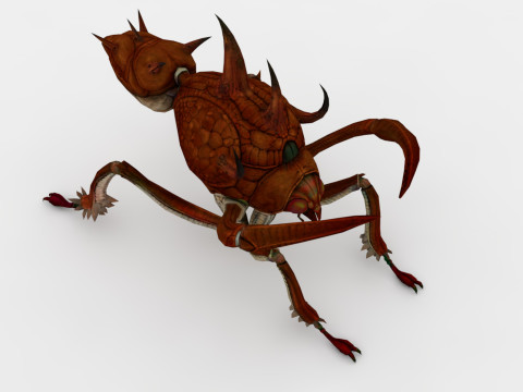 Ant Collection Model 3D