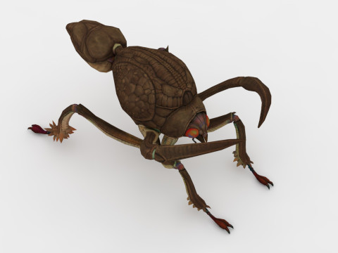 Ant Collection Model 3D