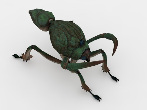 Ant Collection Model 3D
