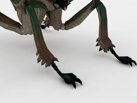 Ant Collection Model 3D