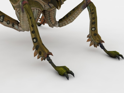 Ant Collection Model 3D