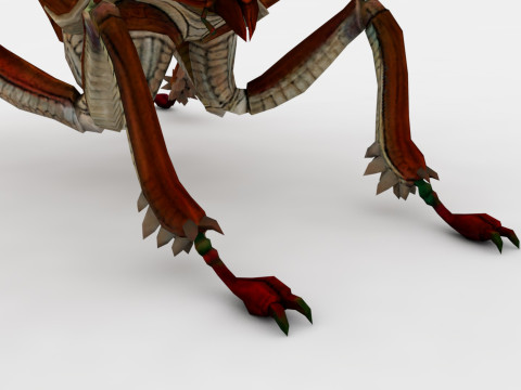Ant Collection Model 3D