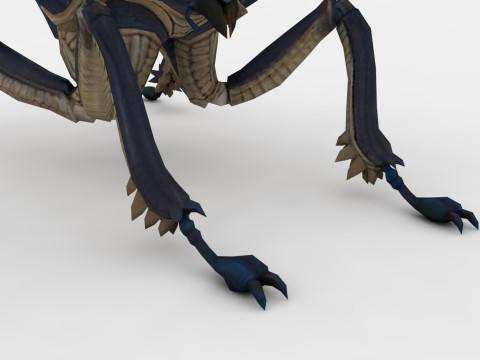Ant Collection Model 3D
