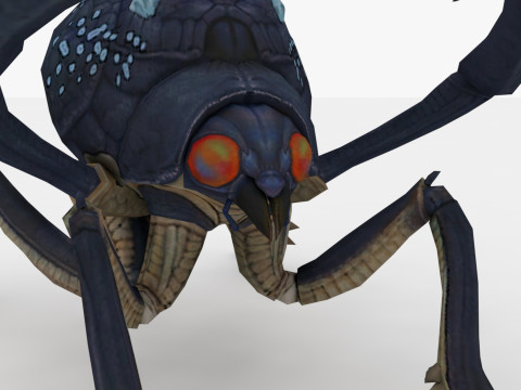 Ant Collection Model 3D
