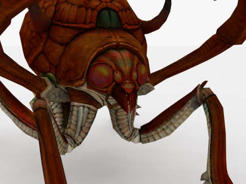 Ant Collection Model 3D
