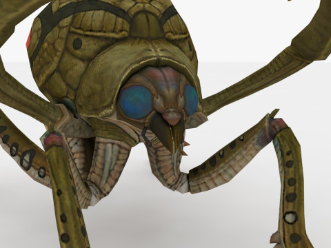 Ant Collection Model 3D