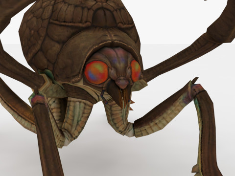 Ant Collection Model 3D