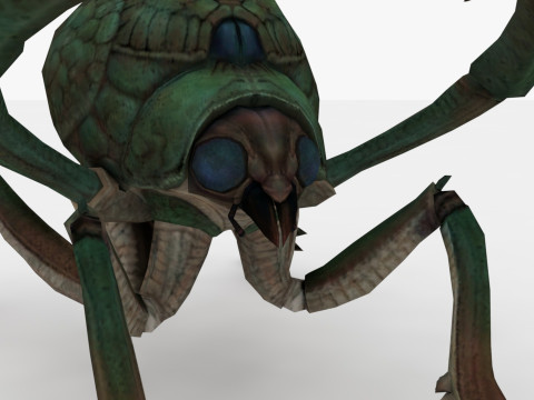 Ant Collection Model 3D
