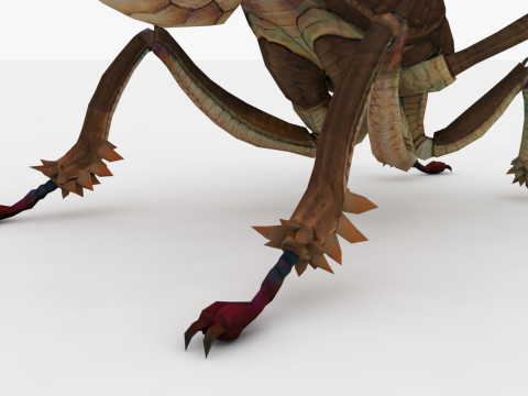Ant Collection Model 3D