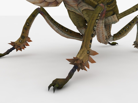 Ant Collection Model 3D