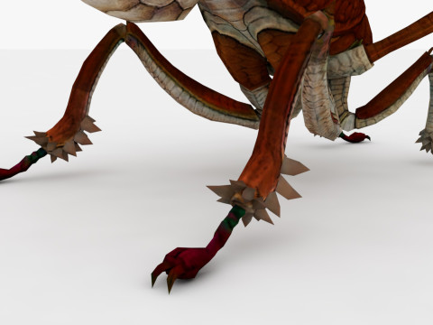 Ant Collection Model 3D