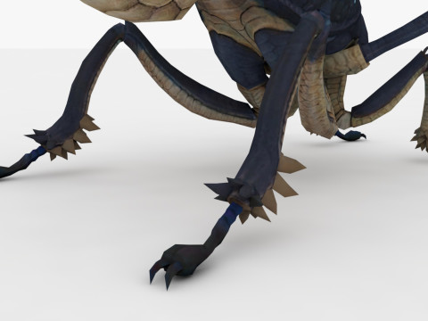 Ant Collection Model 3D