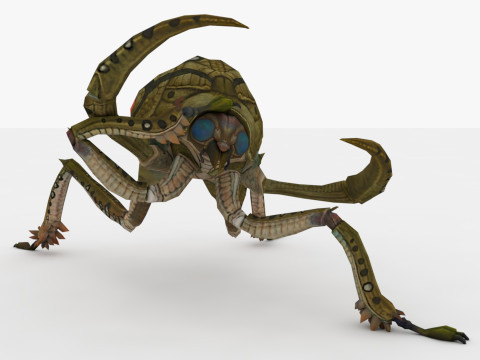 Ant Collection Model 3D