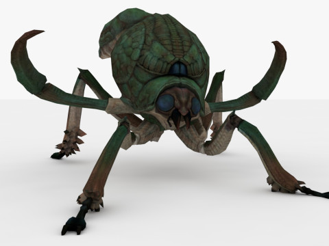 Ant Collection Model 3D