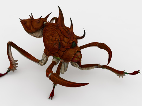 Ant Collection Model 3D