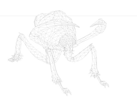 Ant Collection Model 3D