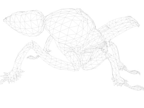 Ant Collection Model 3D