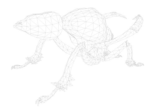 Ant Collection Model 3D