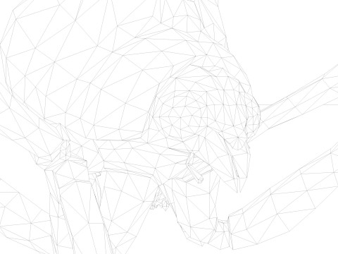 Ant Collection Model 3D
