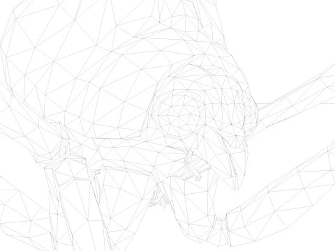 Collezione di formiche Modello 3D