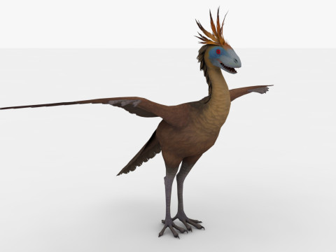Archae 3D Model