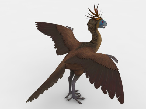 Archae 3D Model