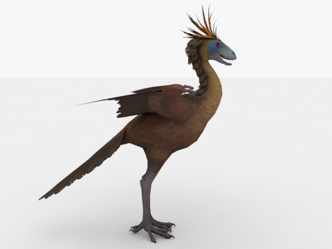 Archae 3D Model