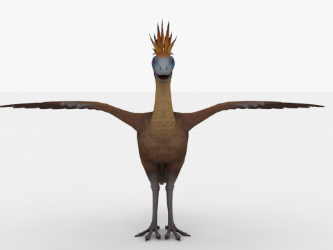 Archae 3D Model
