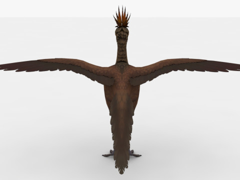 Archae 3D Model