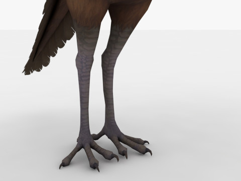 Archae 3D Model