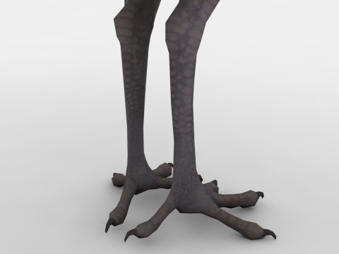 Archae 3D Model