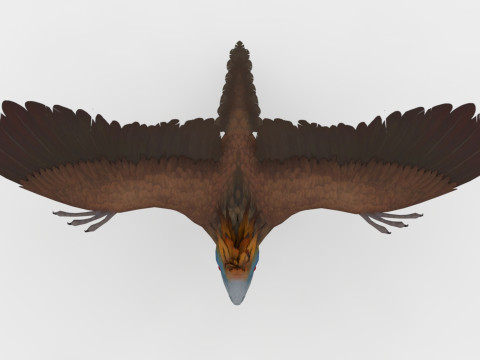 Archae 3D Model