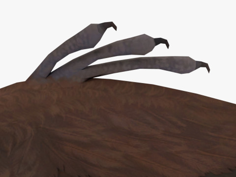 Archae 3D Model