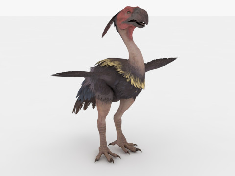 Axe Beak 3D Model