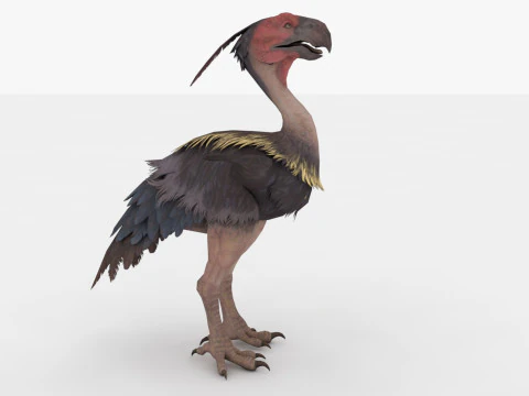 Axe Beak 3D Model