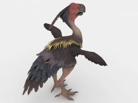 Axe Beak 3D Model