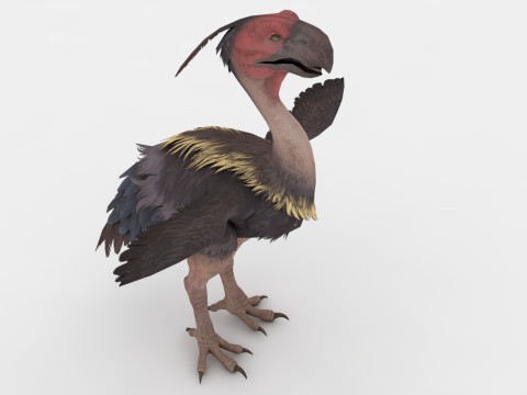 Axe Beak 3D 模型