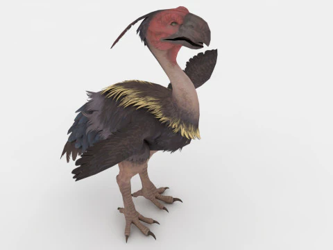 Axe Beak 3D Model