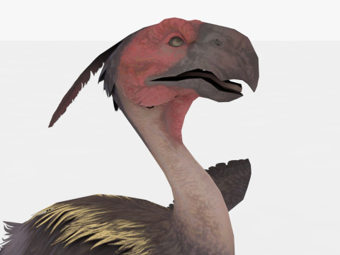 Axe Beak 3D 模型