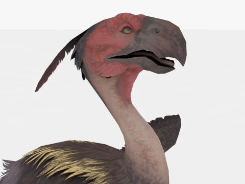 Axe Beak 3D Model