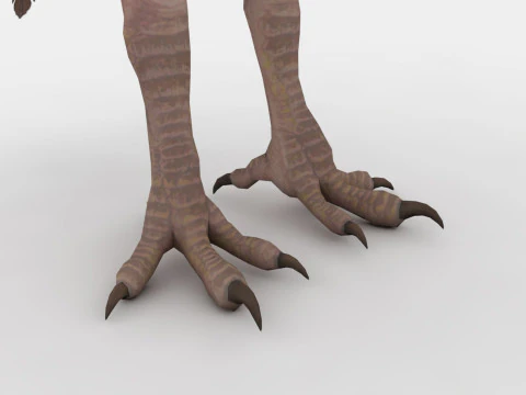 Axe Beak 3D Model