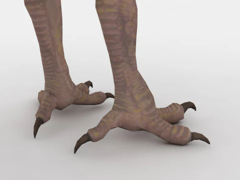 Axe Beak 3D Model