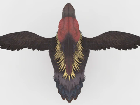 Axe Beak 3D Model