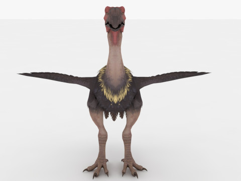 Axe Beak 3D 模型