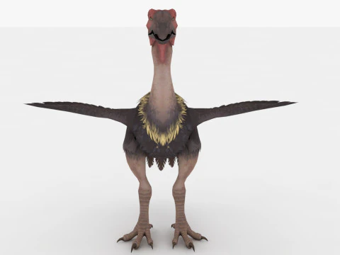 Axe Beak 3D Model