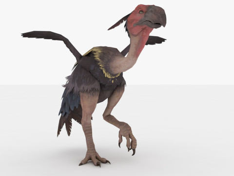 Axe Beak 3D 模型