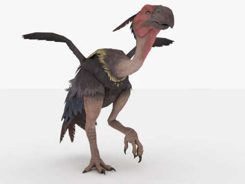 Axe Beak 3D Model