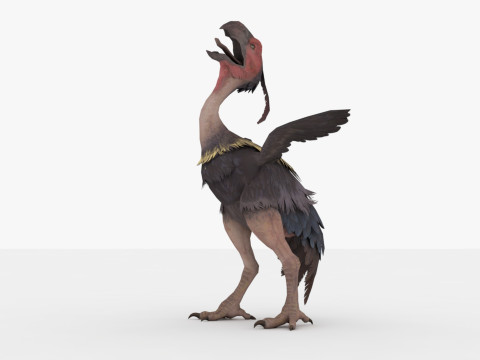 Axe Beak 3D 模型