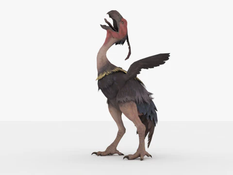 Axe Beak 3D Model