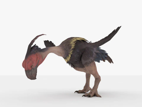 Axe Beak 3D Model